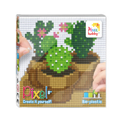 Pixel set - Cactussen