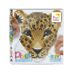 Pixel set - Luipaard